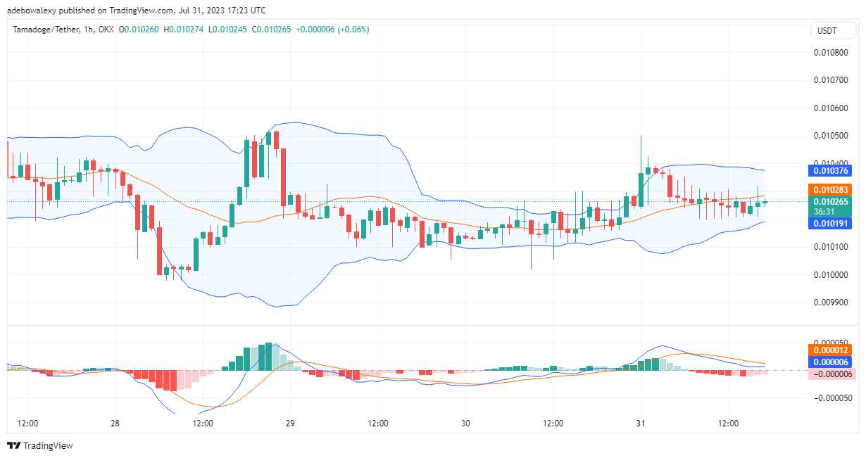 Tamadoge (TAMA) Price Prediction for Today, August 1: TAMA/USDT Bulls Muscle Down Bears Above a Key Support