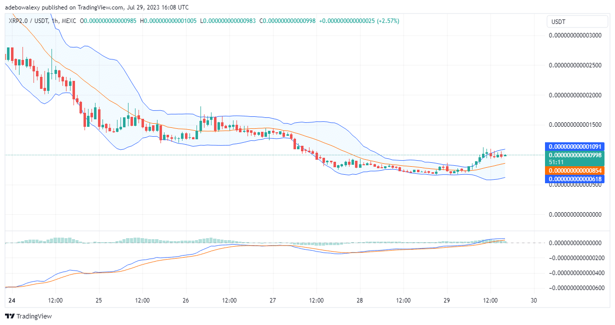 Trending Coins for Today, July 29: WLD, XRP2, XRP, SHIB, and PEPE