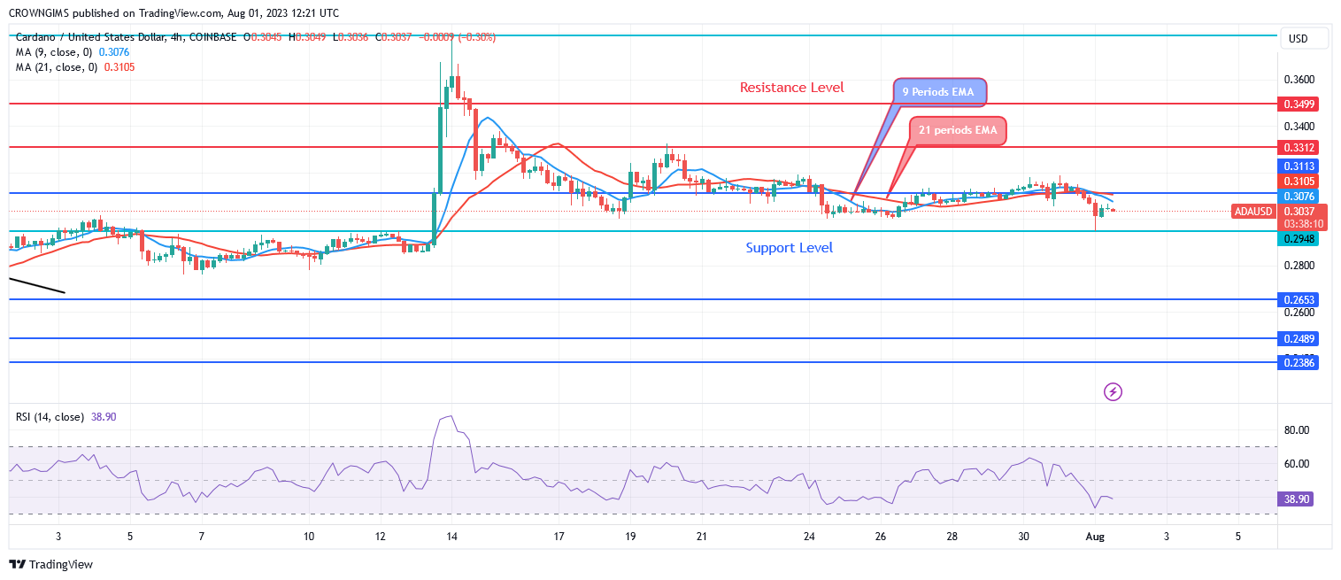 Cardano Price: Will There Be a Further Reduction?
