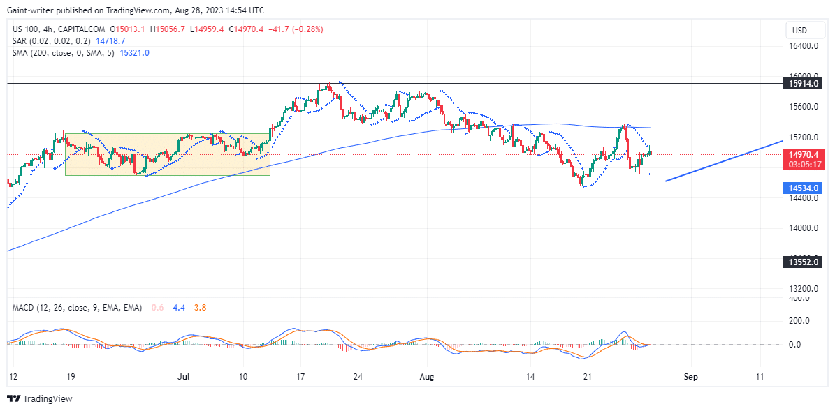 Nasdaq 100 Bears Tag et pust