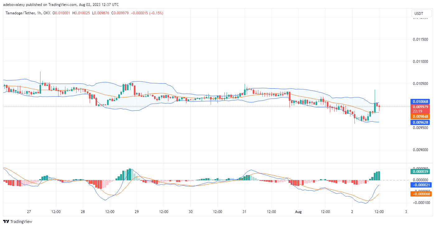 Tamadoge (TAMA) Price Prediction for Today, August 3: TAMA/USDT Ramps Towards the $0.01000 Price Mark