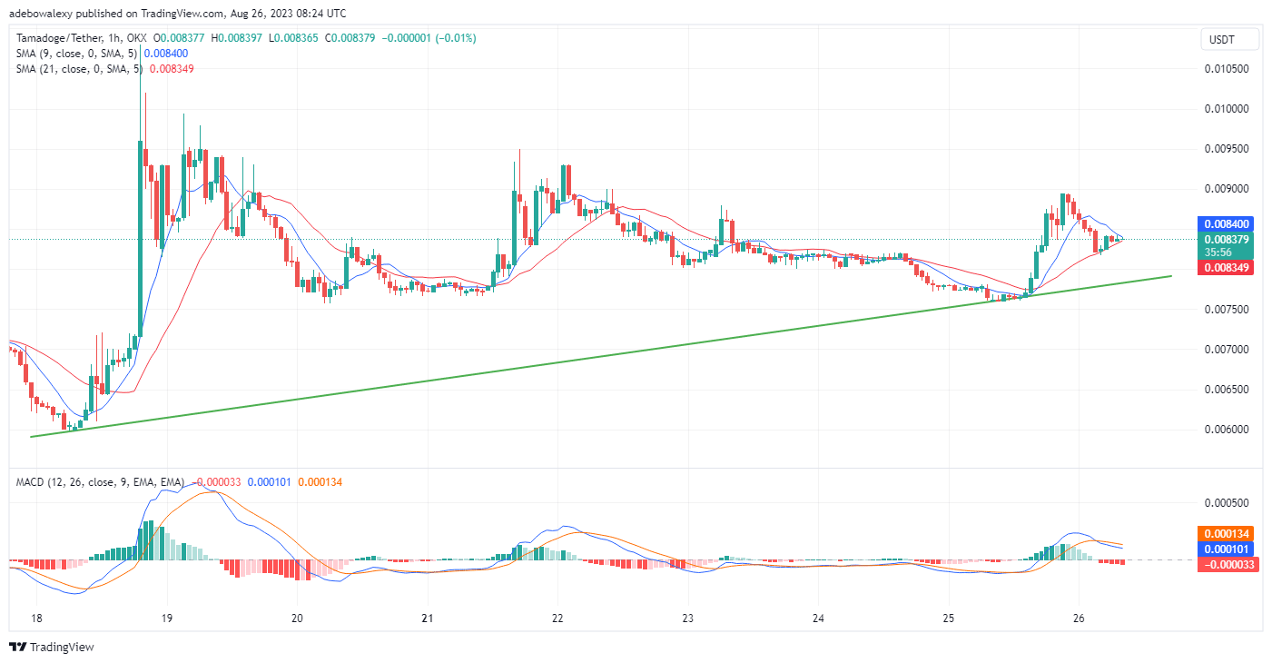 Tamadoge (Tama) Price Prediction for Today, August 26: TAMAUSDT Continues to Gather Momentum Above the $0.008300 Mark