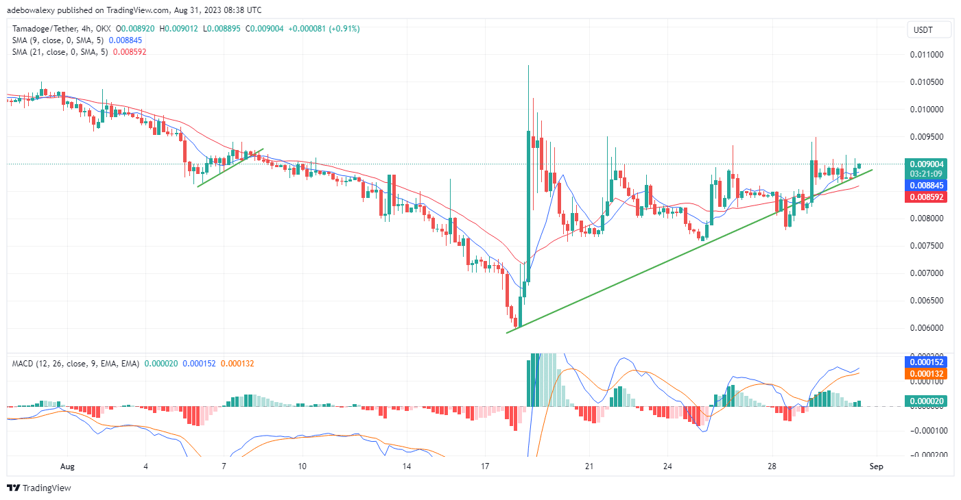 Tamadoge (TAMA) Price Prediction for Today, August 31: TAMAUSDT Breaks the $0.009000 Price Ceiling in Style