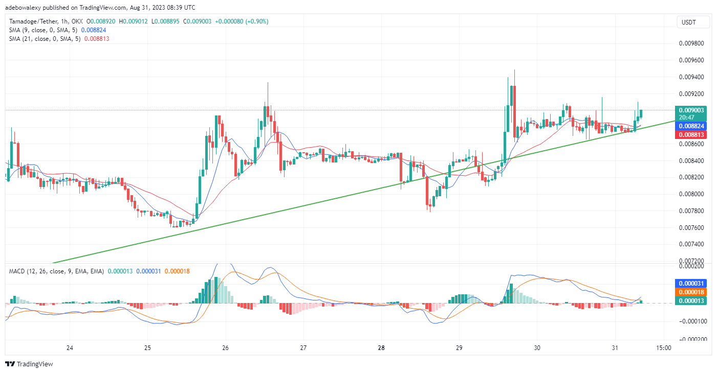 Tamadoge (TAMA) Price Prediction for Today, August 31: TAMAUSDT Breaks the $0.009000 Price Ceiling in Style