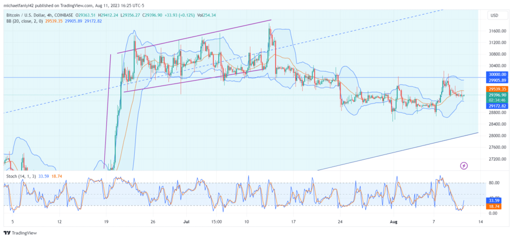Bitcoin (BTCUSD) Remains Firm in Its Quest to Surpass $30,000