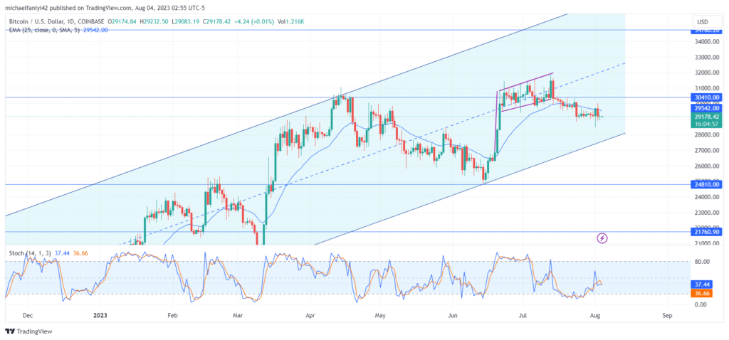Bitcoin (BTCUSD) Bulls React To the Drop in Price