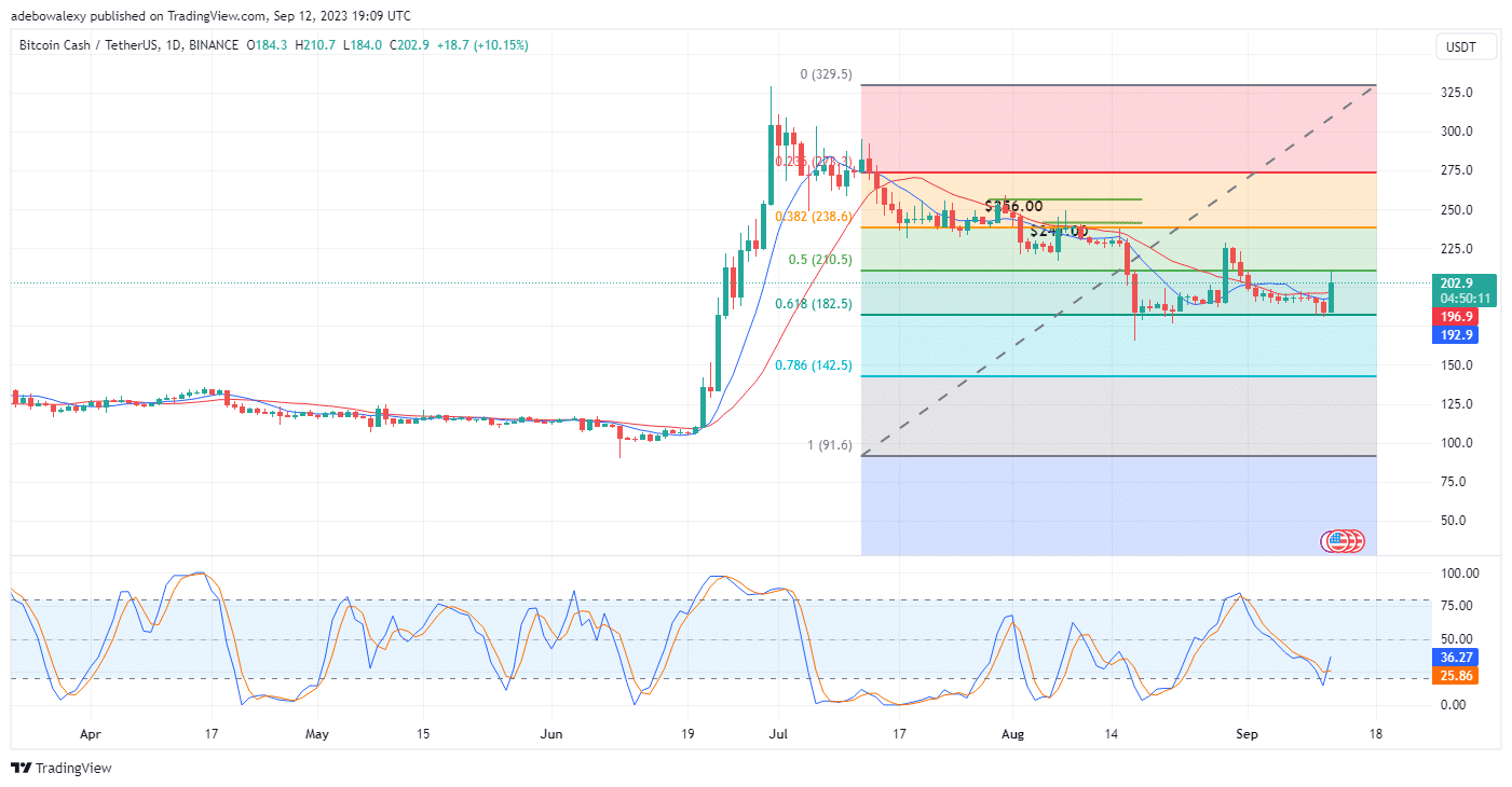 Bitcoin Cash (BCH) Leaps By 10.45%