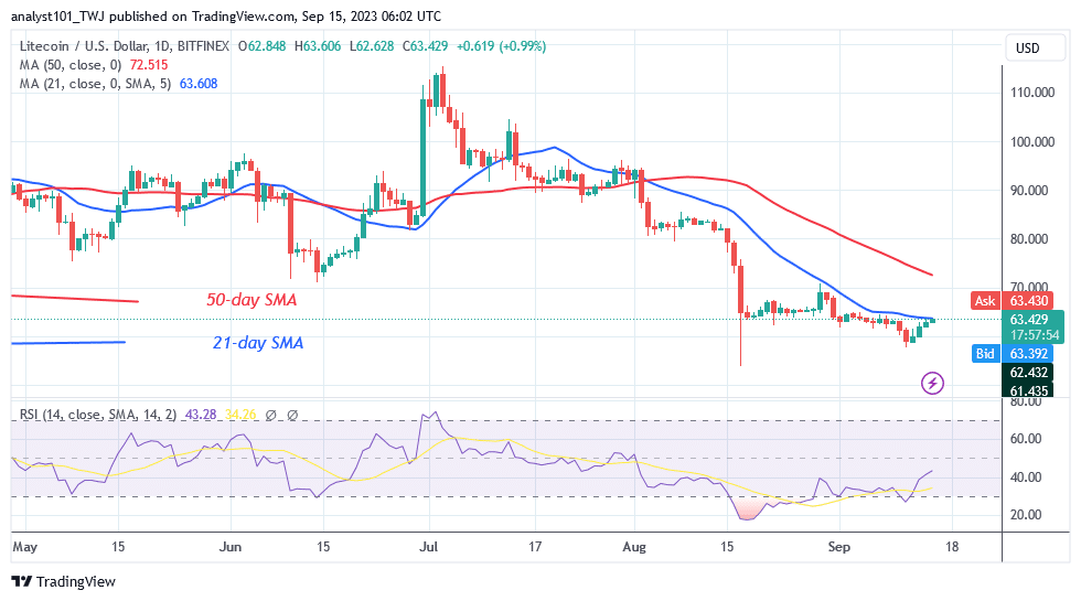 The $64 resistance halts Litecoin's rising movement