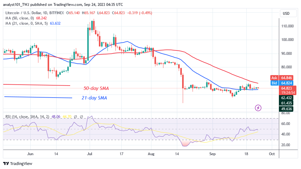 Litecoin Stabilizes above $64 but May Return To Past Lows