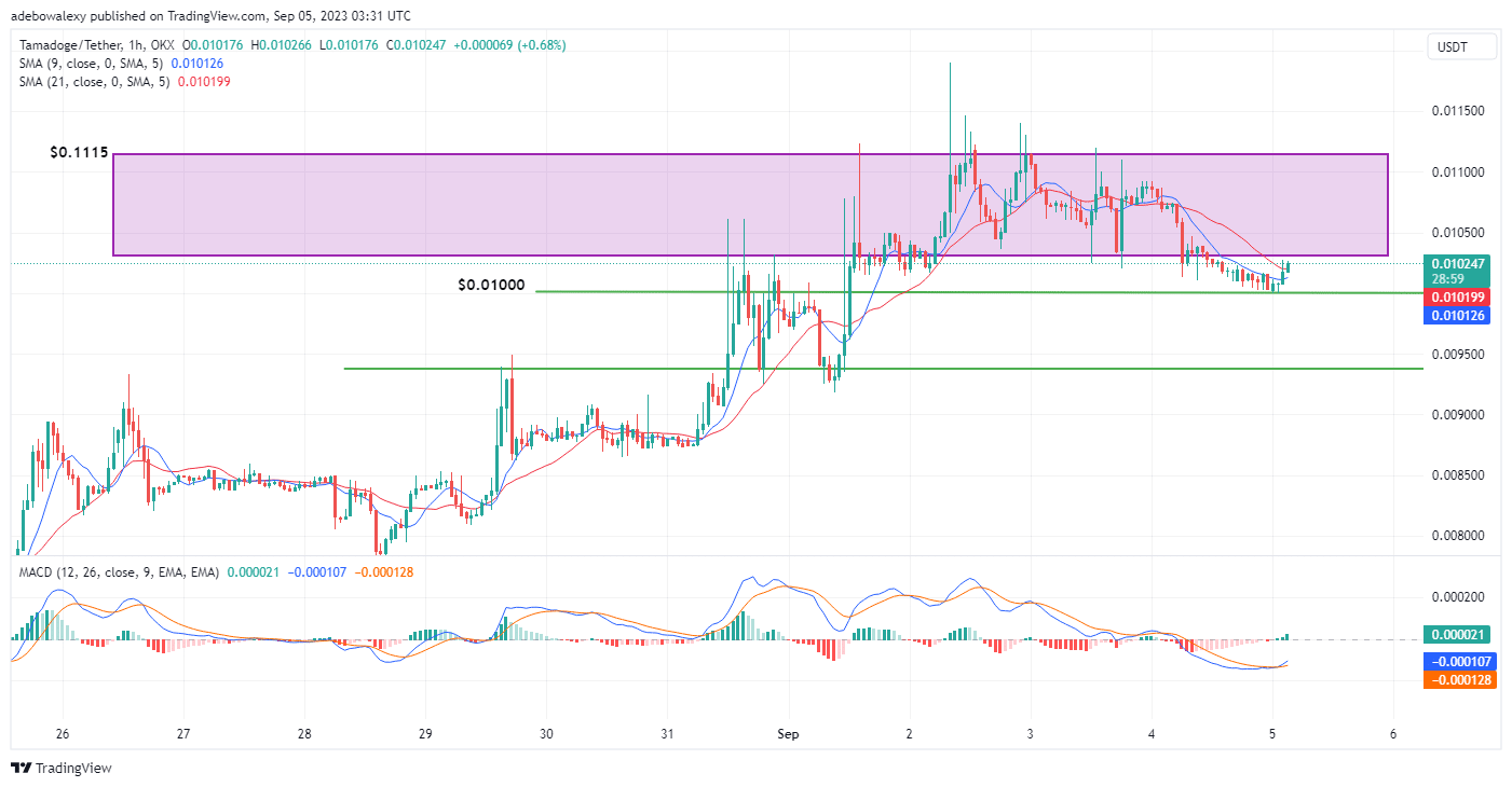 Tamadoge (TAMA) Price Prediction for Today, August 5: TAMAUSDT Rebounds Upwards From the $0.01000 Support Level