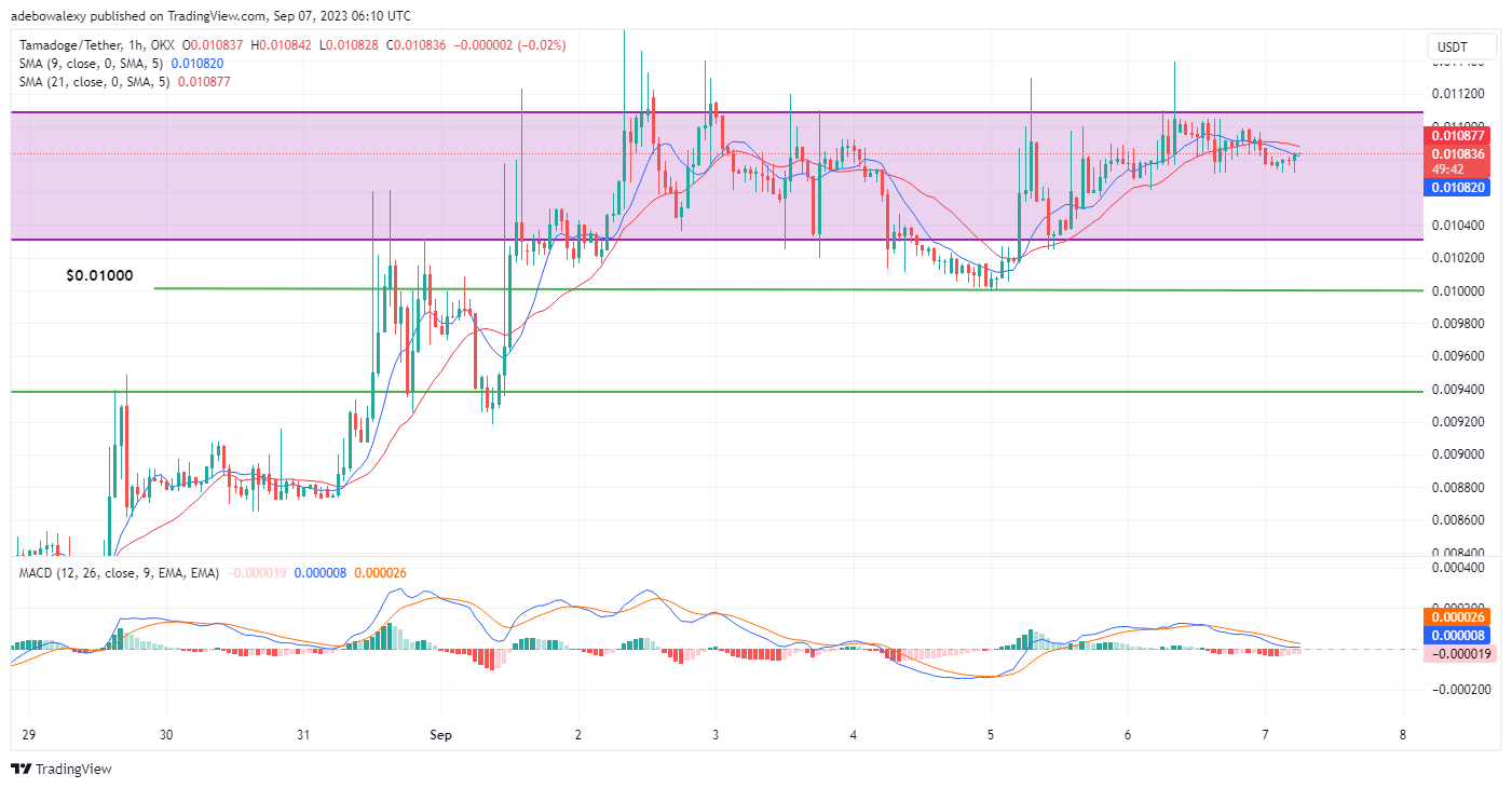 Tamadoge (TAMA) Price Prediction for Today, September 7: TAMUSDT Stays Bullish While Trading Above the $0.01080 Mark