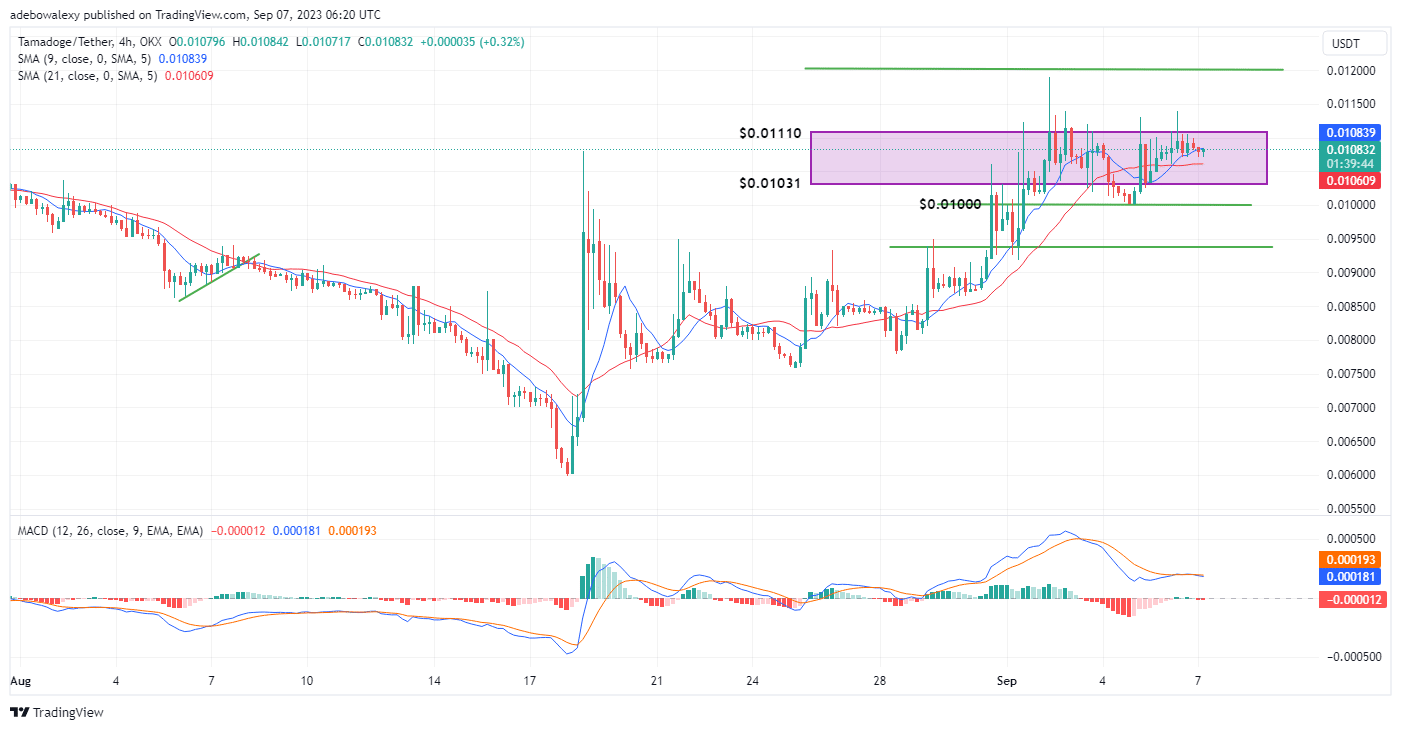 Tamadoge (TAMA) Price Prediction for Today, September 7: TAMUSDT Stays Bullish While Trading Above the $0.01080 Mark