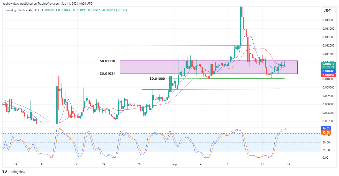 „Tamadoge“ (TAMA) kainos prognozė šiandien, rugsėjo 14 d.: TAMAUSDT ir toliau brangsta link 0.01110 USD