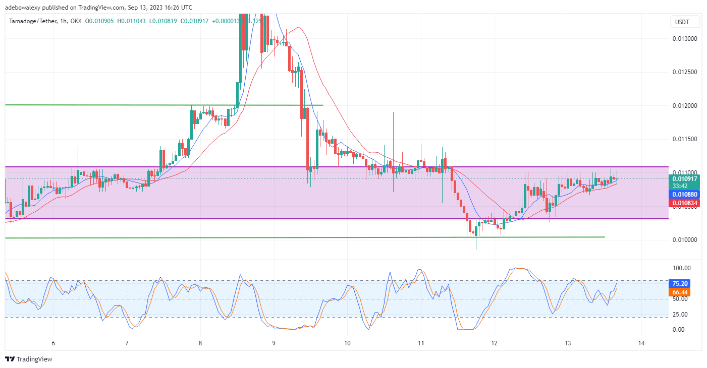 „Tamadoge“ (TAMA) kainos prognozė šiandien, rugsėjo 14 d.: TAMAUSDT ir toliau brangsta link 0.01110 USD