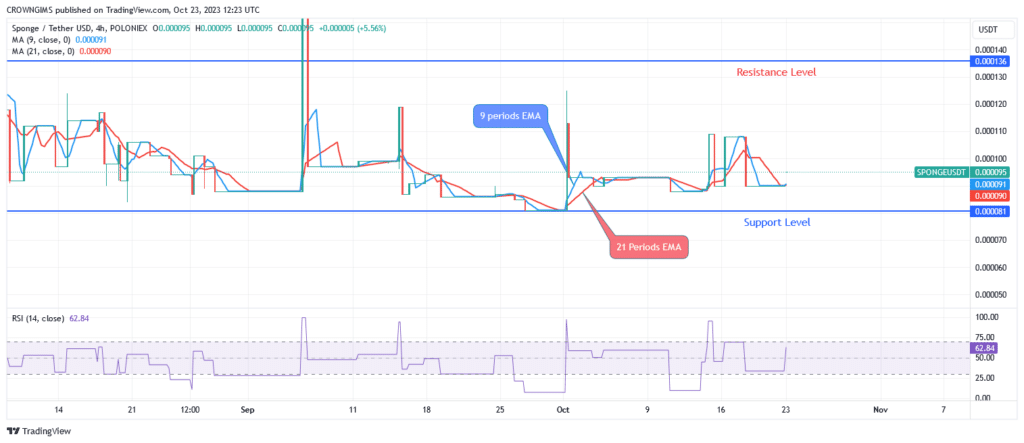 Sponge (SPONGEUSDT): Number of Buyers Increase Everyday