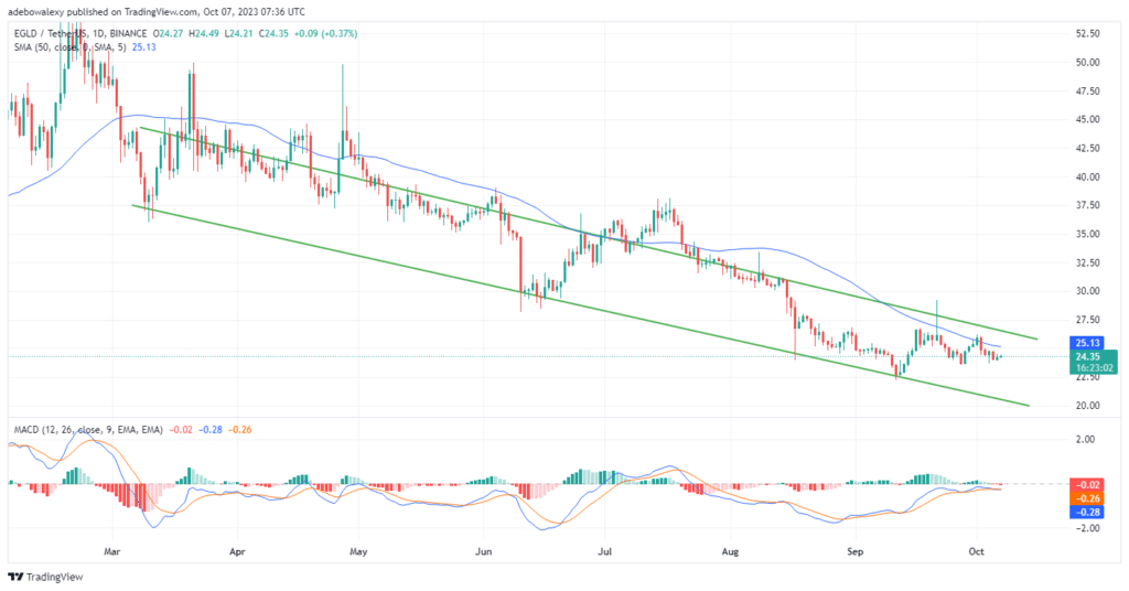 Trending Coins for Today, October 7: XMR, LDO, ICP, EGLD, and APT