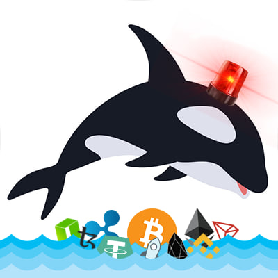 Whale Alert's logo