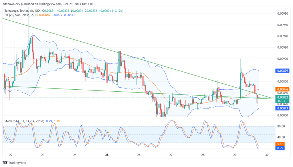 Tamadoge (TAMA) Price Outlook for December 30: TAMA/USDT Appears to Be Preparing for a Bullish Breakout