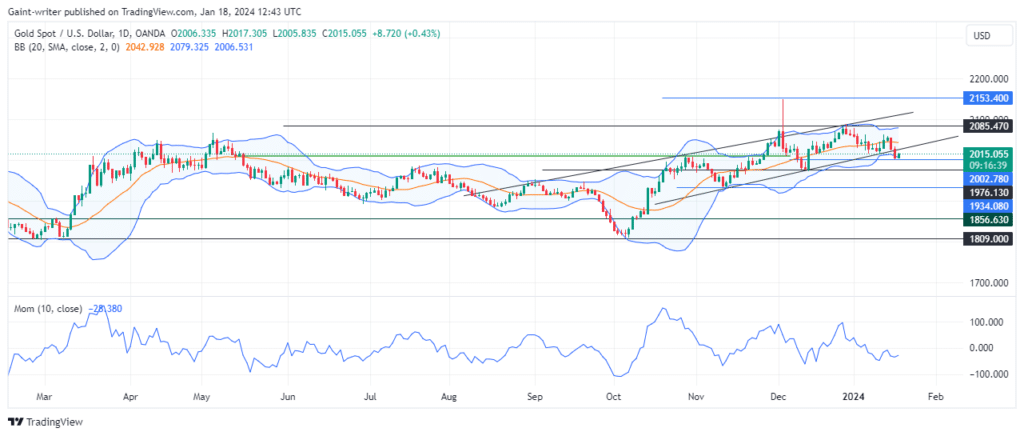 Gold Buyers Show Resilience Despite Their Recent Losing Streak