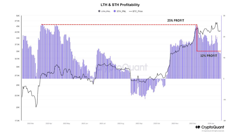 Bitcoin LTH and STH profitability chart