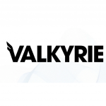 Valkyrie logo; a spot Bitcoin ETF issuer