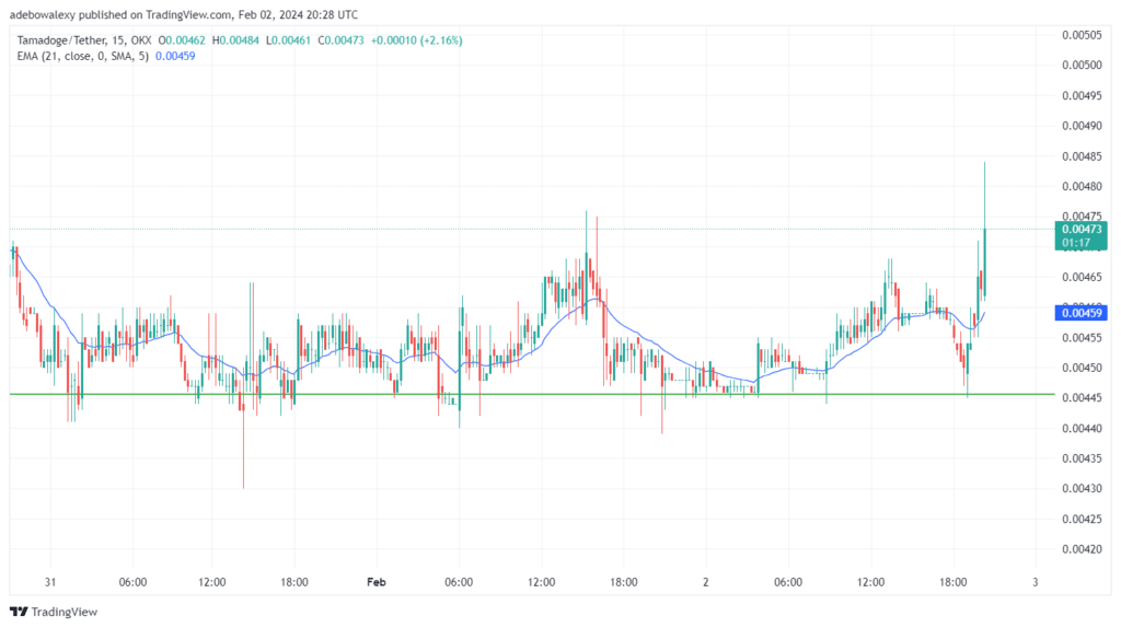 Tamadoge (TAMA) Price Outlook for February 14: TAMA/USDT Shapes to Sustain Bullish Pressure