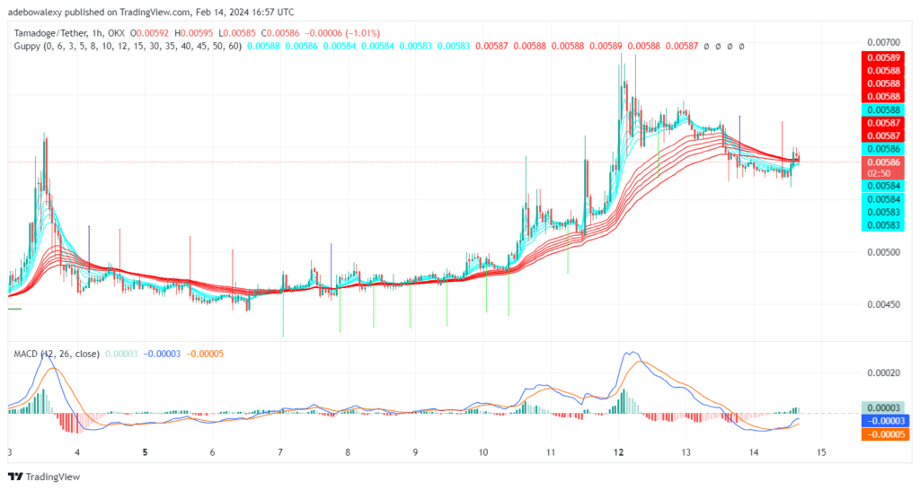 Tamadoge (TAMA) Price Outlook for February 14: TAMA/USDT Shapes to Sustain Bullish Pressure