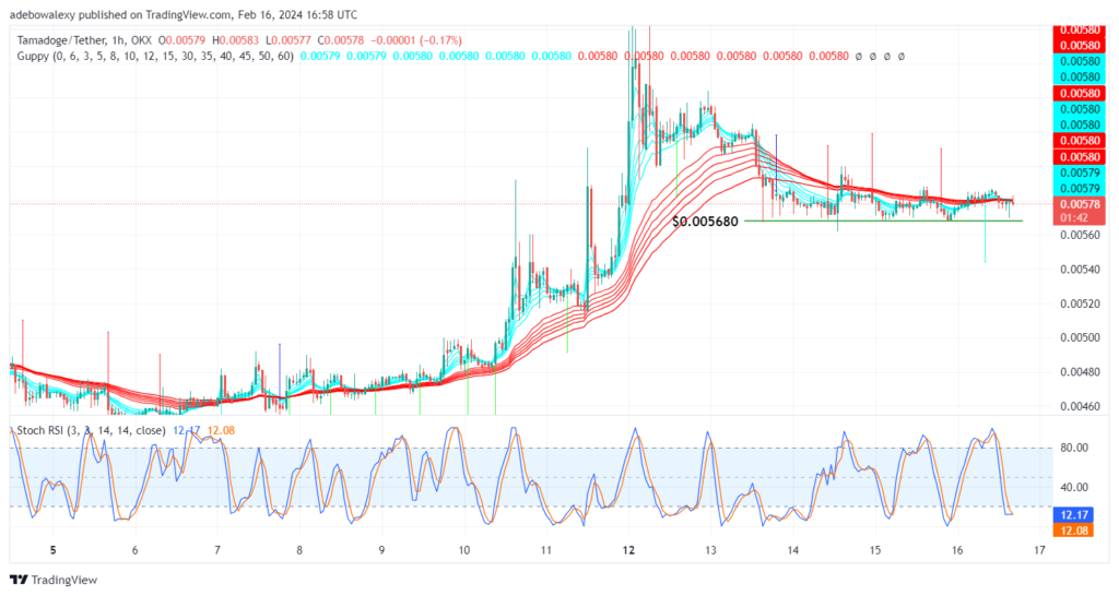 Tamadoge (TAMA) Price Outlook for February 16: TAMA/USDT Finds a New Higher Support