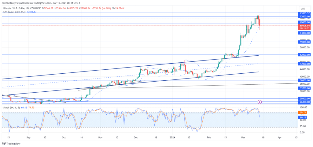 Bitcoin (BTCUSD) Takes a Step Back Due To Bulls Exhaustion