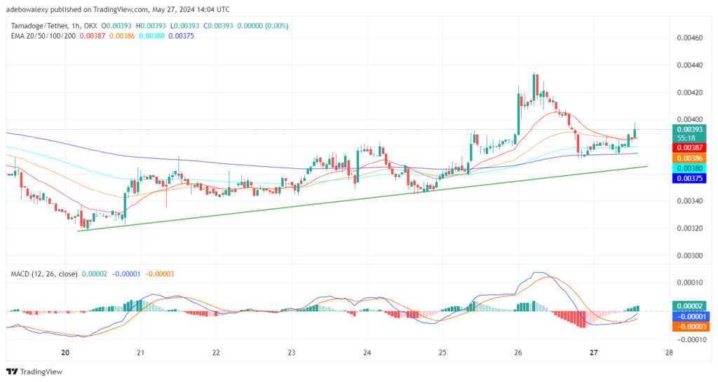 Tamadoge (TAMA) Price Outlook for May 27: TAMA/USDT Prepares to Resume Trading Above the $0.004000 Mark