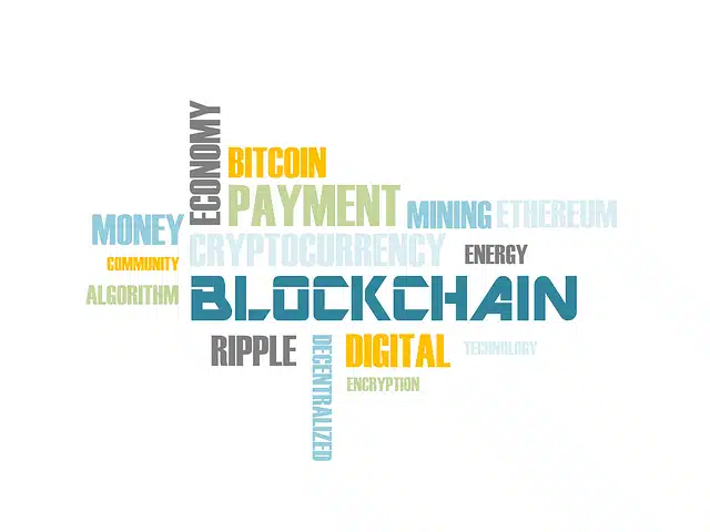 Unleashing the Power of Sector Investing in Cryptocurrency