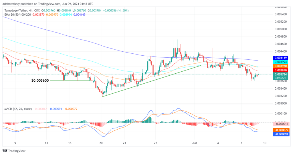 Tamadoge (TAMA) Price Outlook for June 9: TAMA/USDT Price Action Set to Recover Higher Price Levels 