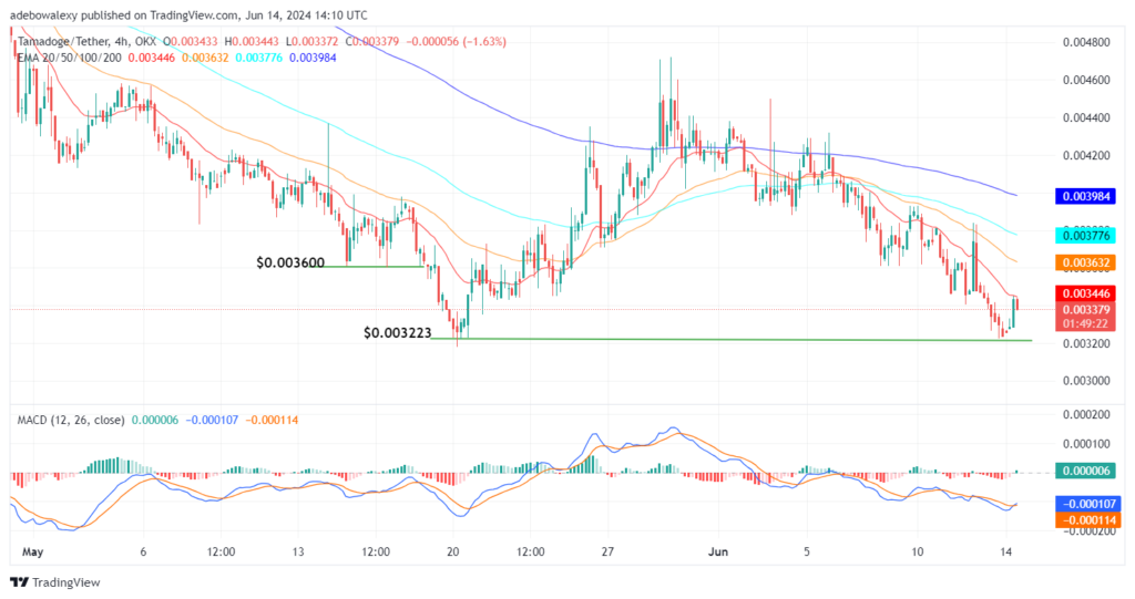 Tamadoge (TAMA) Price Outlook for June 14: TAMA/USDT Bulls Are Holding Out Well