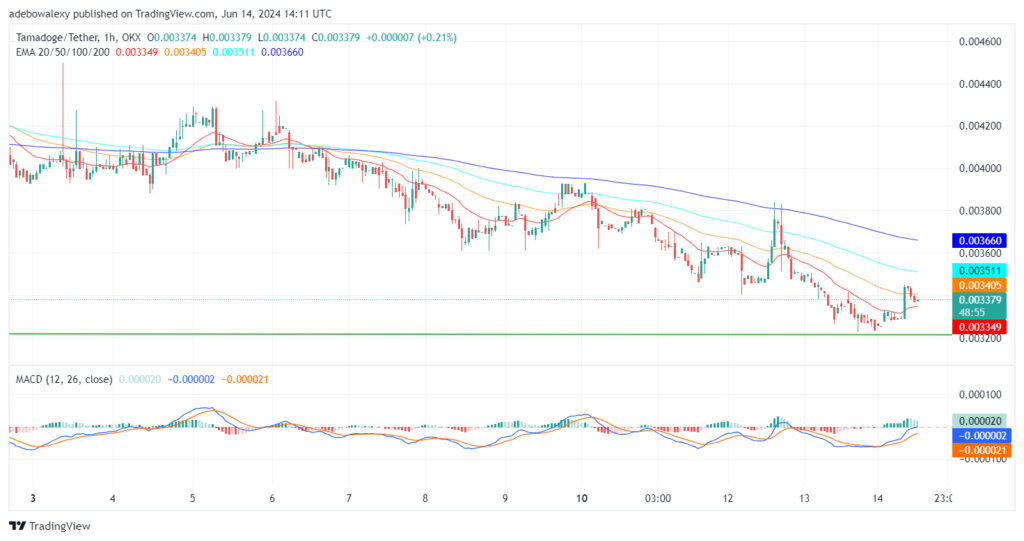 Tamadoge (TAMA) Price Outlook for June 14: TAMA/USDT Bulls Are Holding Out Well