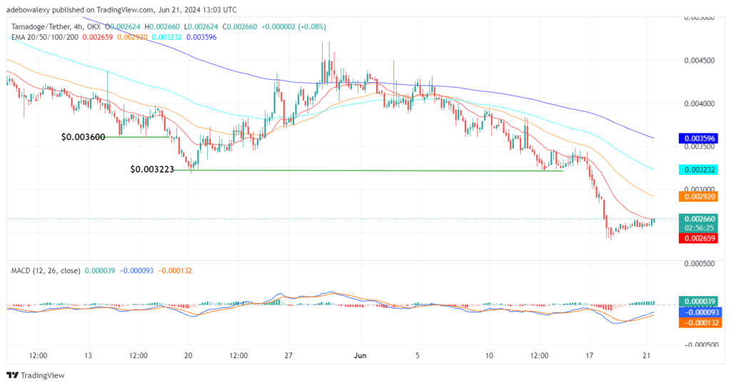 Tamadoge (TAMA) Price Outlook for June 21: TAMA/USDT Bulls Refuse to Retreat Below the $0.002500 Threshold