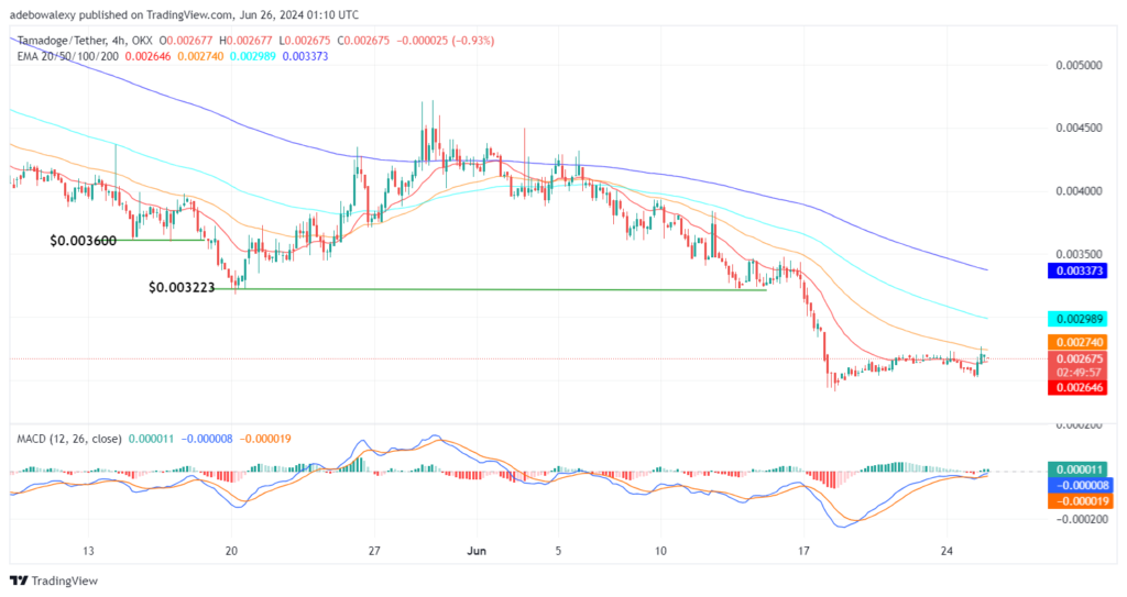 Tamadoge (TAMA) Price Outlook for June 26: TAMA/USDT Stands Strong Against Headwinds