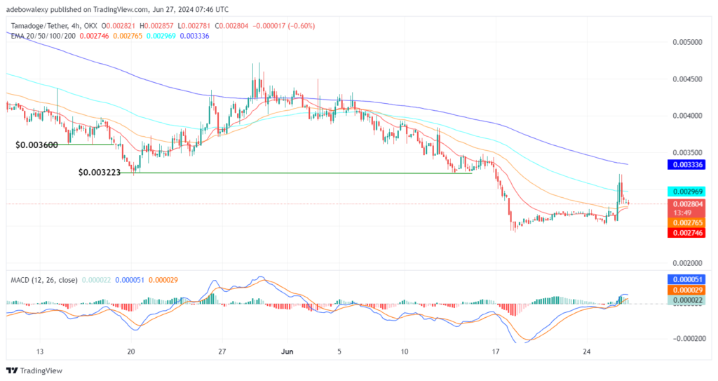 Tamadoge (TAMA) Price Outlook for June 27: TAMA/USDT Finds Elevated Support Level