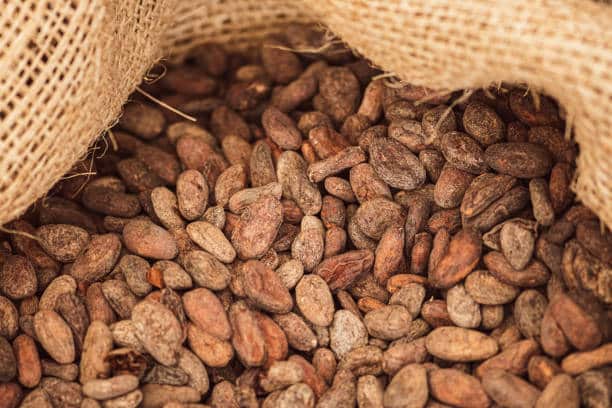 Cocoa Prices Drop as Stronger Dollar and Pound Pressure the Market