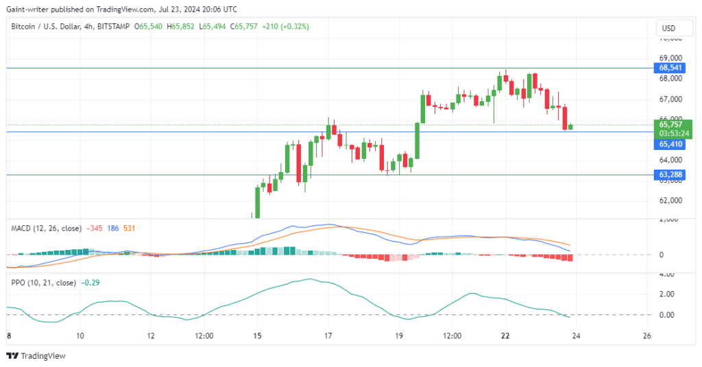 BTCUSD (Bitcoin) Loses Bullish Streak