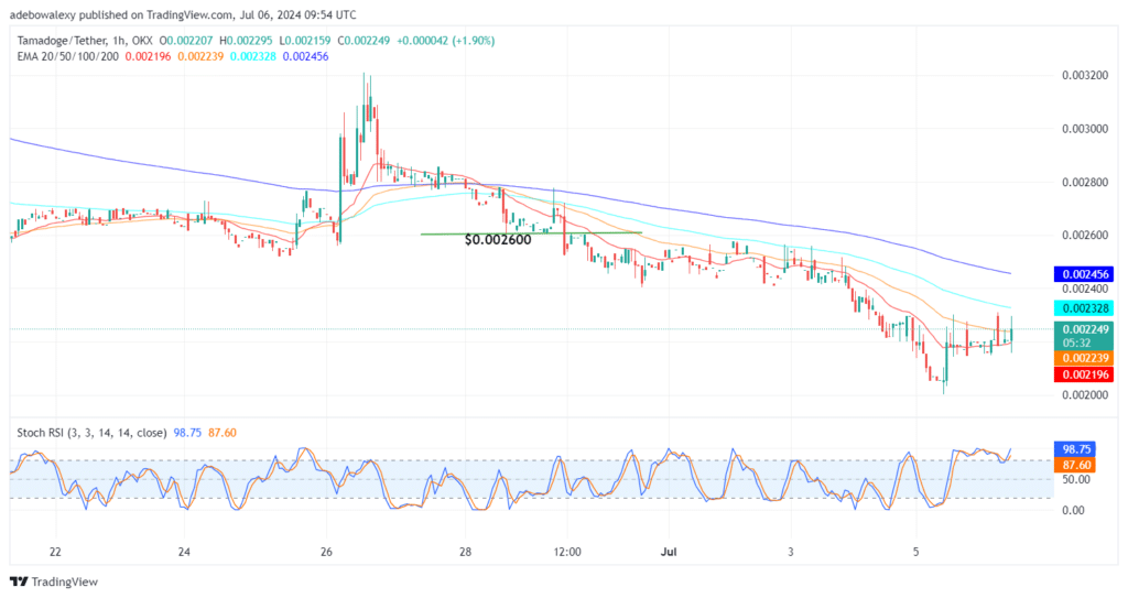 Tamadoge (TAMA) Price Outlook for July 6: Tailwind Is Propelling the TAMA/USDT Market