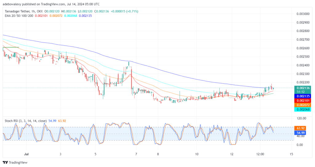 Tamadoge (TAMA) Price Outlook for July 14: TAMA/USDT Breaks the $0.002100 Price Level