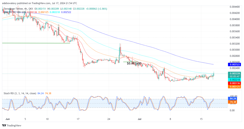 Tamadoge (TAMA) Price Outlook for July 18: TAMA/USDT Bulls Are Expanding Their Reach