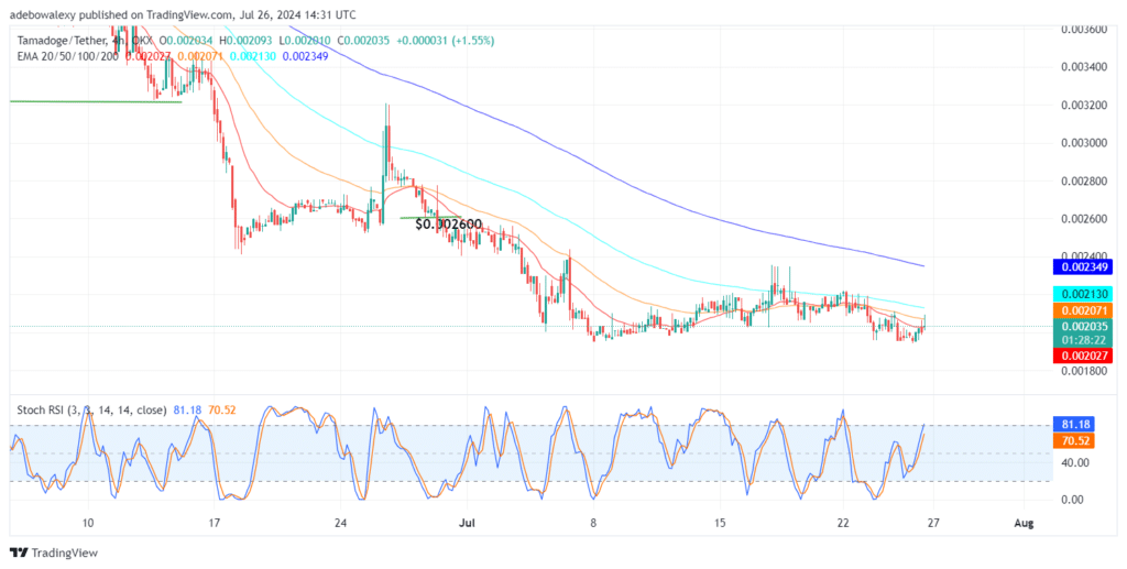 TAMA/USDT Faces Strong Contraction But Retains an Upward Trajectory