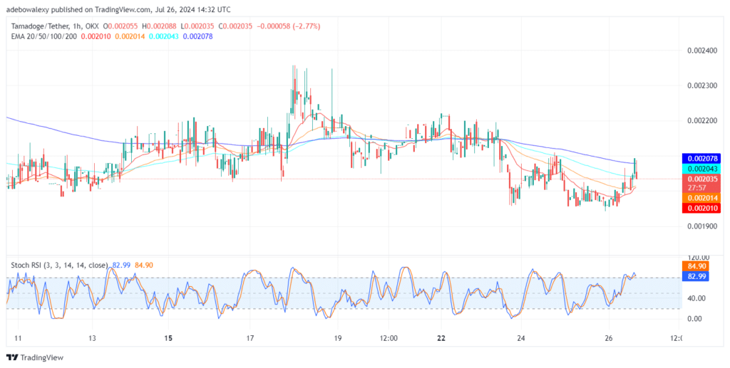 TAMA/USDT Faces Strong Contraction But Retains an Upward Trajectory