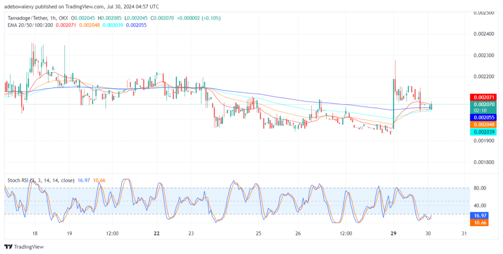 Tamadoge (TAMA) Price Outlook for July 30: TAMA/USDT Is Shaking Off Bearish Pressure