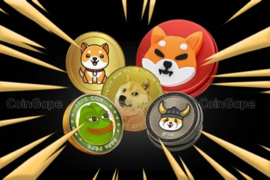 Meme Coin Mania: Analyzing Meme Coin's Ascent and Current Market Trends