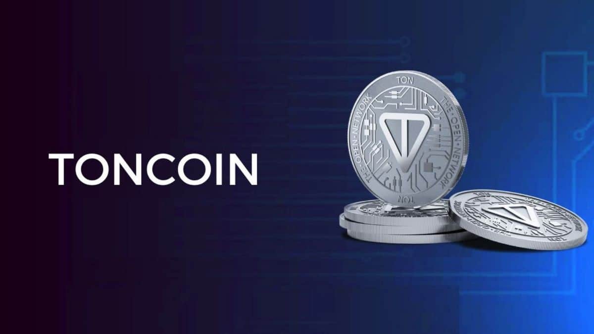 Toncoin Wallet Profitability Declines Amid Rising Volatility