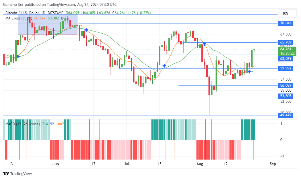 Bitcoin (BTCUSD) Resumes Bullish Surge