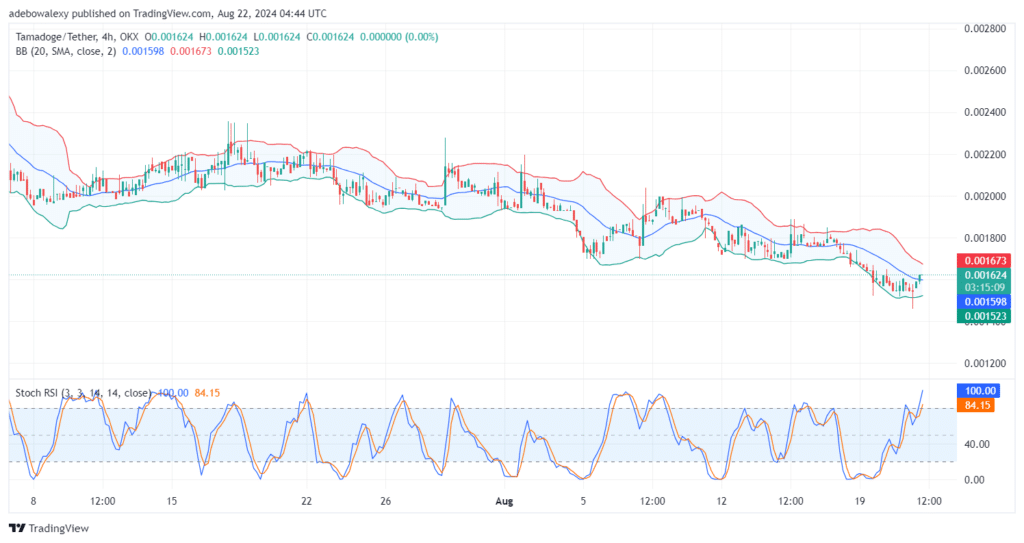 Tamadoge (TAMA) Price Outlook for August 22: TAMA/USDT Buyers Stage a Successful Defense