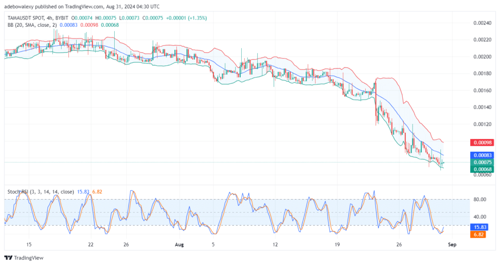 Tamadoge (TAMA) Price Outlook for August 31: TAMA/USDT Sees a Bullish Retracement